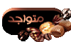 LMSA متواجد حالياً